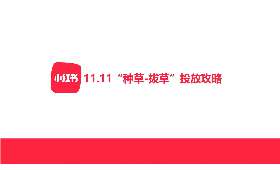 拉萨自媒体创业，照亮城市文化的新兴力量