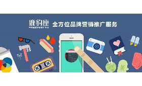 挑战杯大学生创业大赛，梦想的舞台与挑战的历程